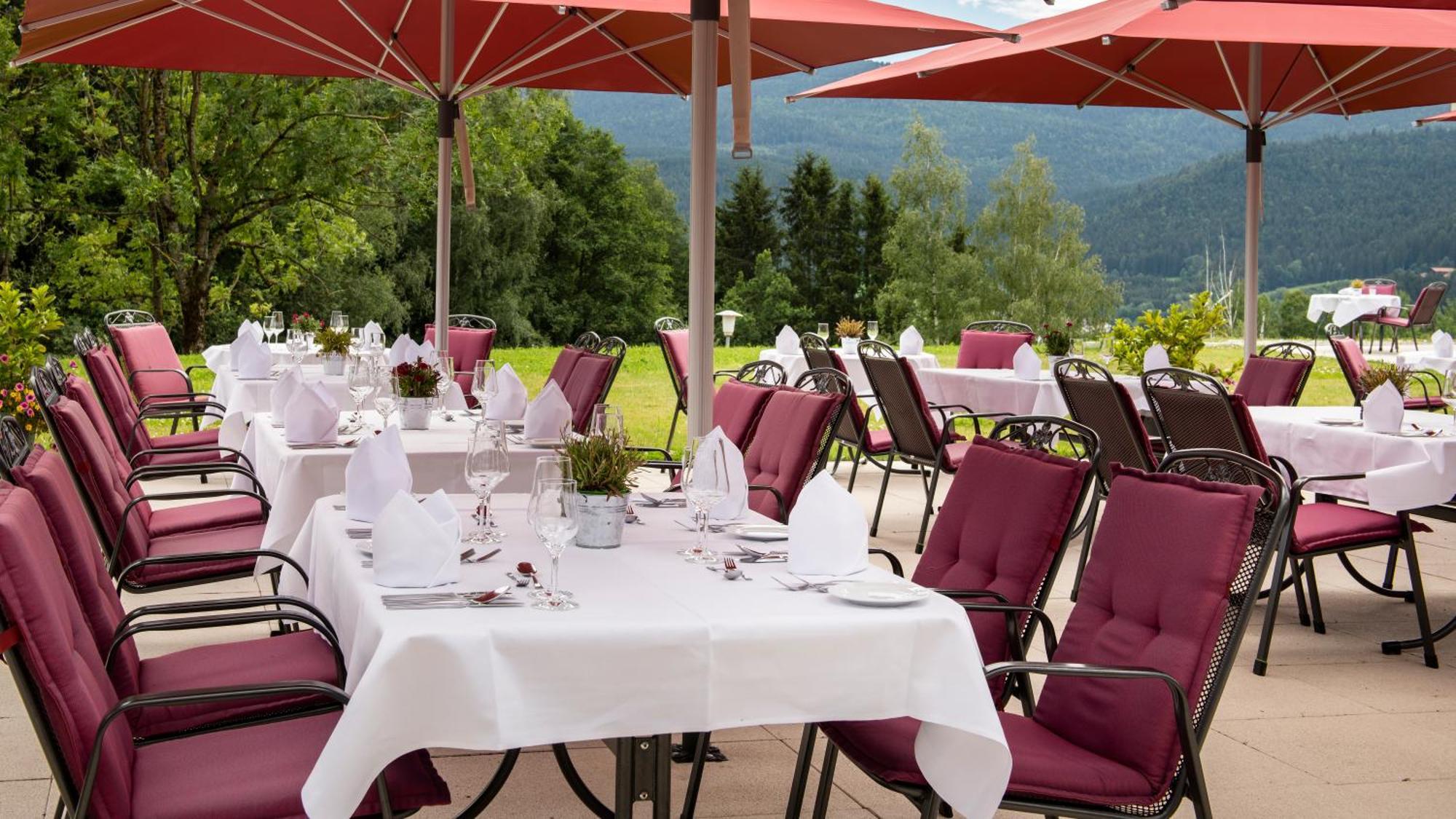 Sonnenhof Bayerischer Wald Lam
