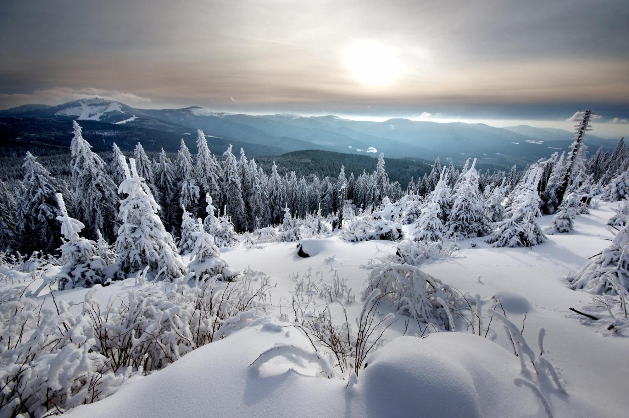 Sonnenhof Bayerischer Wald Hotel 4*
