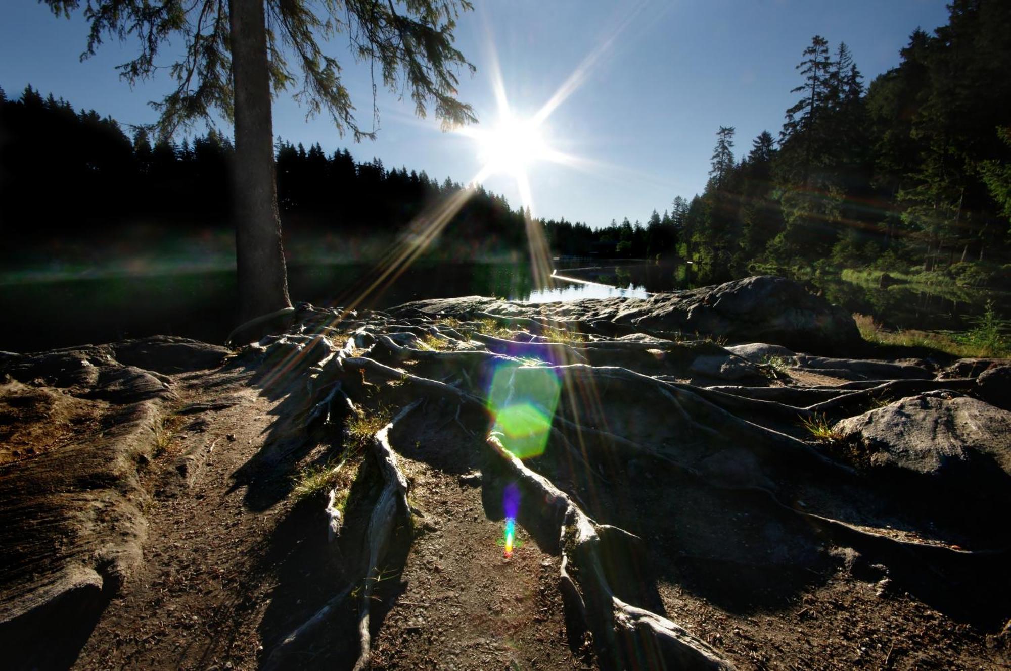 Sonnenhof Bayerischer Wald Hotel 4*